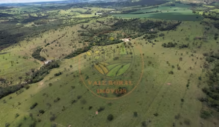 FAZENDA DE 360 ALQUEIRES NA REGIÃO DE IPAMERI - GO FA00195