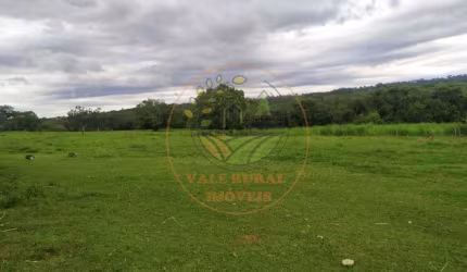 FAZENDA DE DUPLA APTIDÃO, COM 310 ALQUEIRES NA REGIÃO DE IPAMERI - GO  FA00196