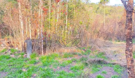 EXCELENTE ÁREA DE 23 HECTARES EM BOM JARDIM DE MINAS - MG  AR00091