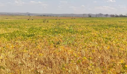 MARAVILHOSA FAZENDA DE 3000 HECTARES EM BURITIZEIRO - MG  FA00213