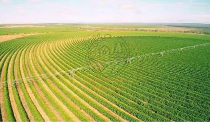 EXCLENTE FAZENDA DE CAFÉ NA REGIÃO DE BURITIZEIRO - MG  FA00209