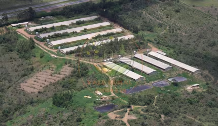EXCELENTE! GRANJA EM PLENO FUNCIONAMENTO PRÓXIMA Á BR 060-  DF/GO   FA00219