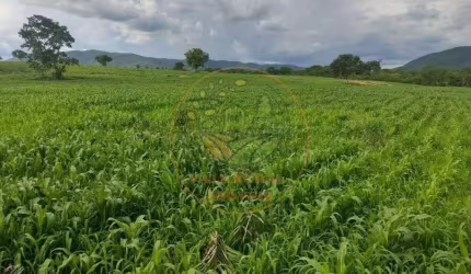 FAZENDA DE 2.725 HECTARES COM 2.000 CABEÇA DE GADO NA REGIÃO DE MONTE ALEGRE DE GOIÁS-GO FA00223