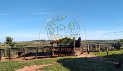 EXCELENTE! FAZENDA DE GADO PRONTA EM SÃO GONÇALO - MG  FA00228