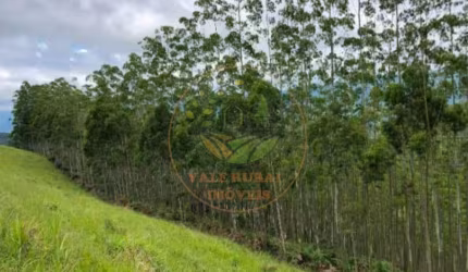 EXCELENTE ÁREA RURAL COM 8 ALQUEIRES EM SÃO FRANCISCO XAVIER - SP  AR00097