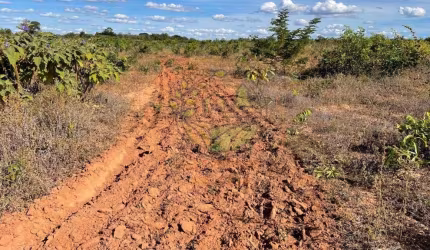 FAZENDA NO TOCANTINS COM 232 ALQUEIRES ,  DUPLA APTIDÃO  FA00243