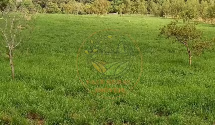 FAZENDA À 100 KM ARAGUAÍNA-TO, COM 385 ALQUEIRES VOLTADA PRA PECUÁRIA E AGRICULTURA, COM 7,5 KM DE RIO FA00241