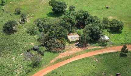 EXCELENTE! FAZENDA COM 75 ALQUEIRES NO ESTADO DO TOCANTINS  FA00244