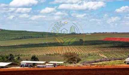 FAZENDA DE CAFÉ, 3.000 HECTARES NA REGIÃO DE VÁRZEA DA PALMA - MG  FA00250