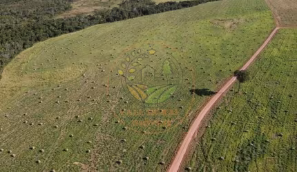 EXCELENTE FAZENDA DE 1.800 HECTARES EM BARRA DO GARÇA - MT  FA00265