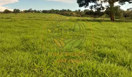 FAZENDA DE 44 ALQUEIRES COM DUPLA APTIDÃO NA REGIÃO DE ITABERAÍ - GO  FA00260