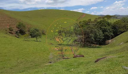SITIO EXCELENTE COM 20 ALQUEIRES EM CAMPOS NOVOS DE CUNHA - SP  ST00234