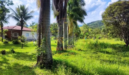 CHÁCARA COM 11.000M², 2 CASAS E GALPÃO EM PINDAMONHANGABA - SP  CH00359