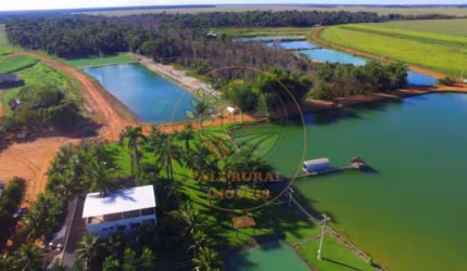 FAZENDA  COM 8.000 HECTARES NA REGIÃO DE SINOP- MT  FA00267