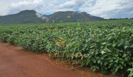 FAZENDA DE 319 ALQUEIRES EM BREJINHO ALEGRE- TO  FA00273
