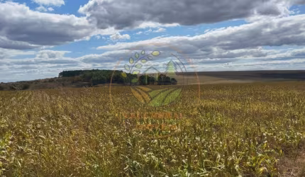 OPORTUNIDADE! FAZENDA EM ÁGUAS FRIAS DE GOIÁS COM 1603 HECTARES  FA00270