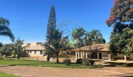 EXCELENTE FAZENDA COM  343 HECTARES  EM ORIZONA - GO  FA00276