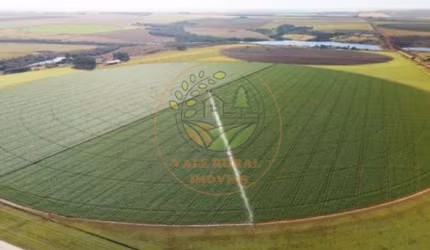 FAZENDA DE 10.200 HECTARES NA REGIÃO DE PEDRO AFONSO- TO  FA00285