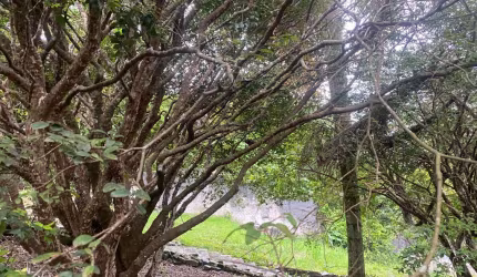 Um terreno magnifico na melhor rua do melhor condominio horizontal da cidade de Arujá