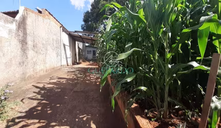 Terreno à venda ZR4 em ótima localização na zona leste de Londrina, na Av. São João - 390m² - Área