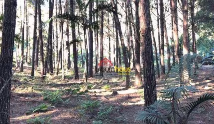 Terreno Residencial à venda, Progresso, Blumenau - TE0043.