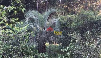 Terreno Residencial à venda, Progresso, Blumenau - TE0044.
