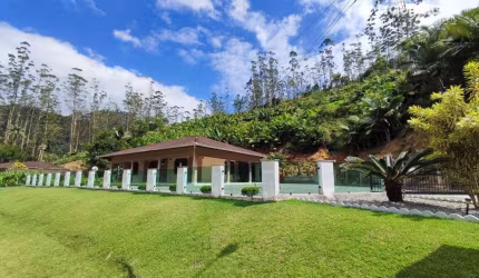Chácara à venda, 20.000 m² por R$ 750.000 - Braço Seco - Massaranduba/SC