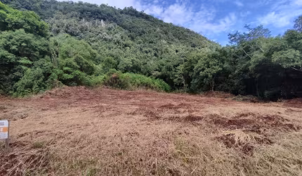 Área de terra à venda em Picada Café na Serra Gaúcha