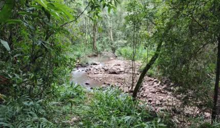 Área de terra margeada por arroio à venda em Picada Café na Serra Gaúcha