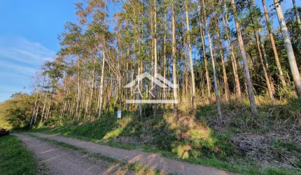 Área de terras com bela vista à venda em Nova Petrópolis na serra gaúcha
