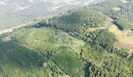 Áreas de terra à venda em Picada Café na Serra Gaúcha