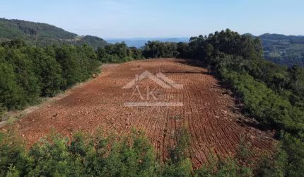 Área de terras plana à venda no interior de Linha Nova, na Serra Gaúcha