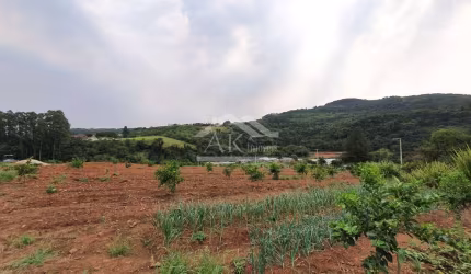 Bela área à venda às margens de rodovia estadual de São José do Hortêncio-RS