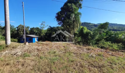 Terreno em meio a natureza à venda em Picada Café, na Serra Gaúcha