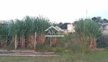 Terreno plano a venda na cidade de São José do Hortêncio, na Serra Gaúcha
