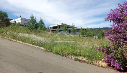 Terreno com vista, à venda, no Centro de Picada Café, na Serra Gaúcha