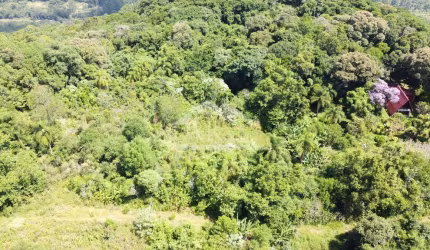 Amplo terreno à venda na cidade de Picada Café na Serra Gaúcha
