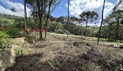 Terreno com fundos para área verde à venda em Nova Petrópolis na Serra Gaúcha