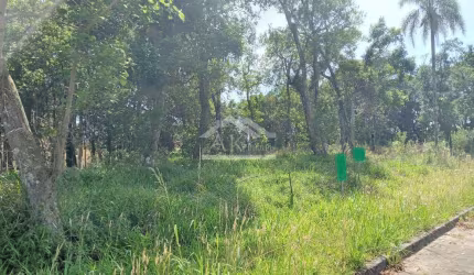 Terreno arborizado à venda em Nova Petrópolis, na Serra Gaúcha