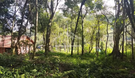 Amplo terreno arborizado à venda em Picada Café na Serra Gaúcha