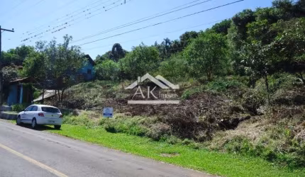 Terreno amplo e arborizado a venda em Picada Café, na Serra Gaúcha