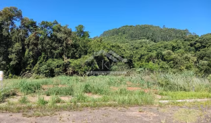 Excelente terreno à venda no Centro, em Picada Café, na Serra Gaúcha