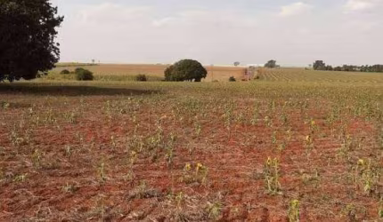 Terreno industrial à venda na entrada do Santo Antônio Sapezeiro em Santa Bárbara d'Oeste