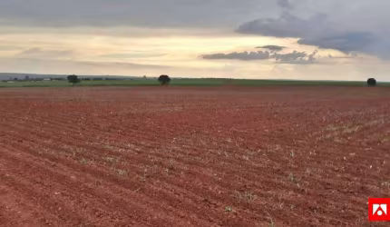 Terreno Rural à Venda em Nova Odessa - 8.547 Alqueires.