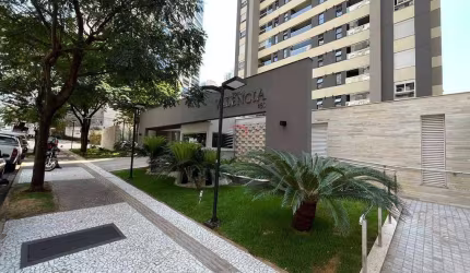Ed. Torre Valência - Apartamento para locação com 2 suítes, 1 vaga -  Gleba Fazenda Palhano, Londri