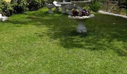 rancho em são Lourenço