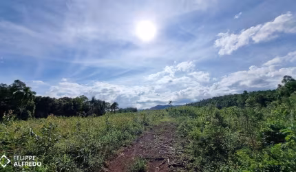Campo à venda São Jacó Sapiranga/RS