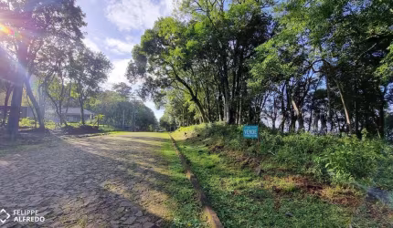 Terreno 1.178 m² ao lado do Mirante Belvedere no Morro Reuter (oportunidade para