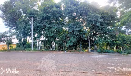 Terreno à venda Vila Rosa Dois Irmãos/RS
