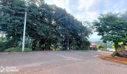 Terreno à venda Vila Rosa Dois Irmãos/RS